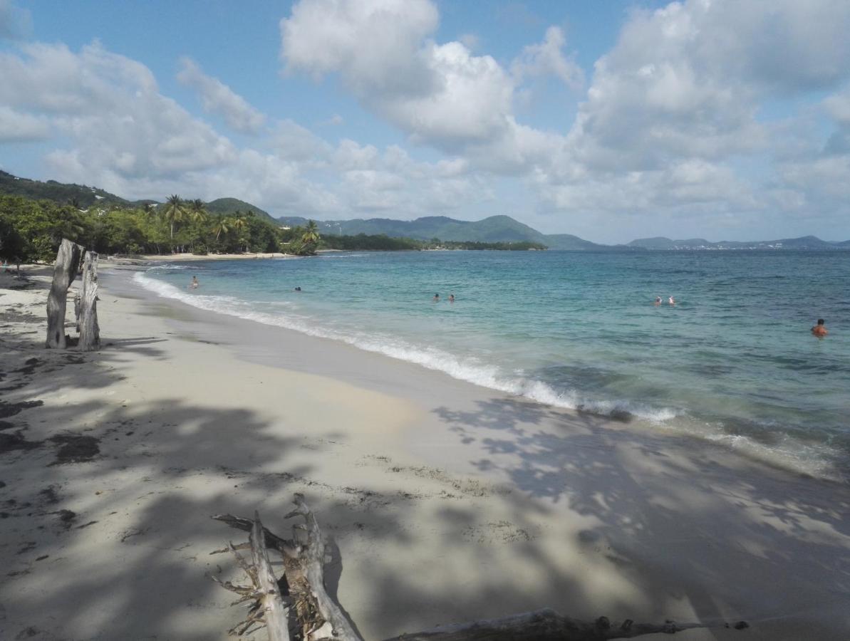 Studio - Le Ti-Colibri - Plages Et Piscine A Sainte-Luce - Martinique - Antilles Zewnętrze zdjęcie